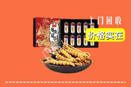 永州市江华回收冬虫夏草