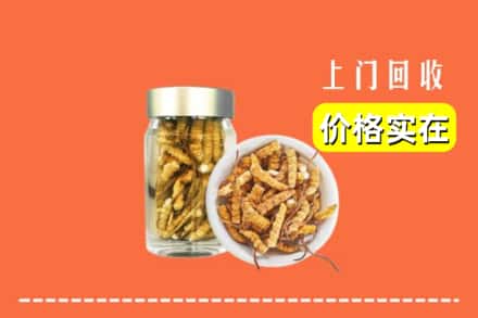 永州市江华回收散虫草