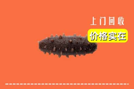 永州市江华回收海参
