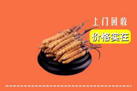 永州市江华回收冬虫夏草